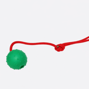 LOOP TOSS BALL