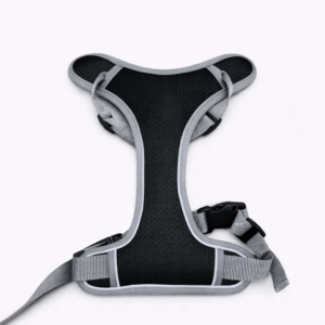 URBAN WALK LEASH “L”