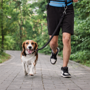 HANDS-FREE WAIST LEASH