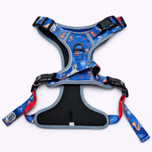 PLAYTIME FRIENDS “L”