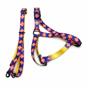 LIFEBUOY STYLE “M”